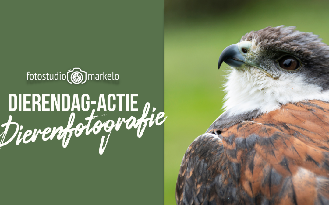 Vier dierendag met een unieke fotosessie